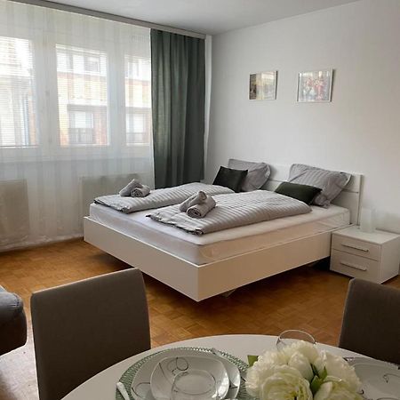 Apartment Green - Grey Ljubljana Kültér fotó